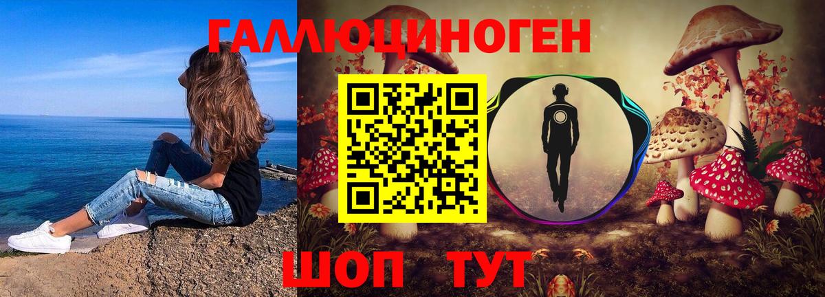 Чита  Псилоцибиновые грибы GOLDEN TEACHER  Вход с VPN 